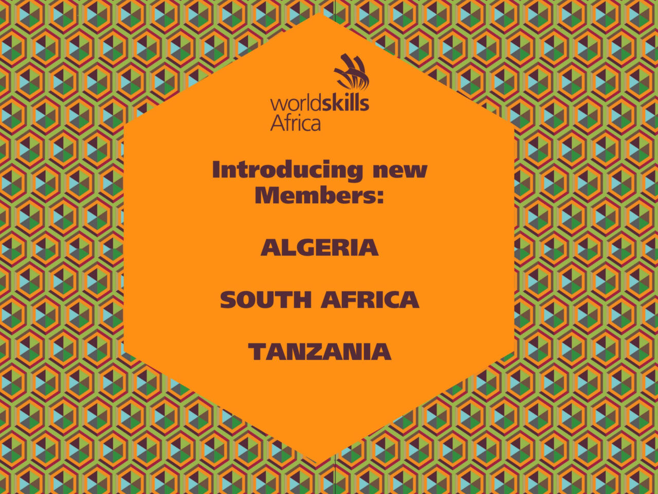 Three new countries join WorldSkills Africa
